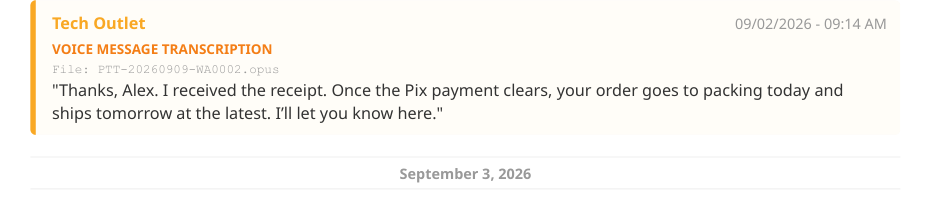A transcribed voice note in the PDF, with its file name