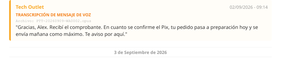 Un audio transcrito en el PDF, con el nombre del archivo