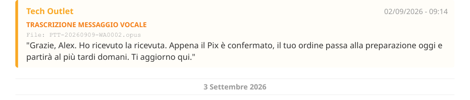 Un vocale trascritto nel PDF, con il nome del file