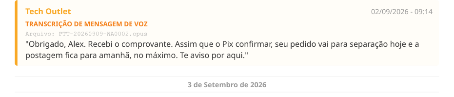 Um áudio transcrito no PDF, com o nome do arquivo